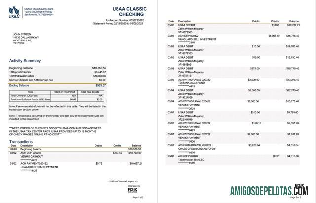 Extrato do Banco de Poupança Federal da USAA para download, modelo Word e PDF, 2 páginas